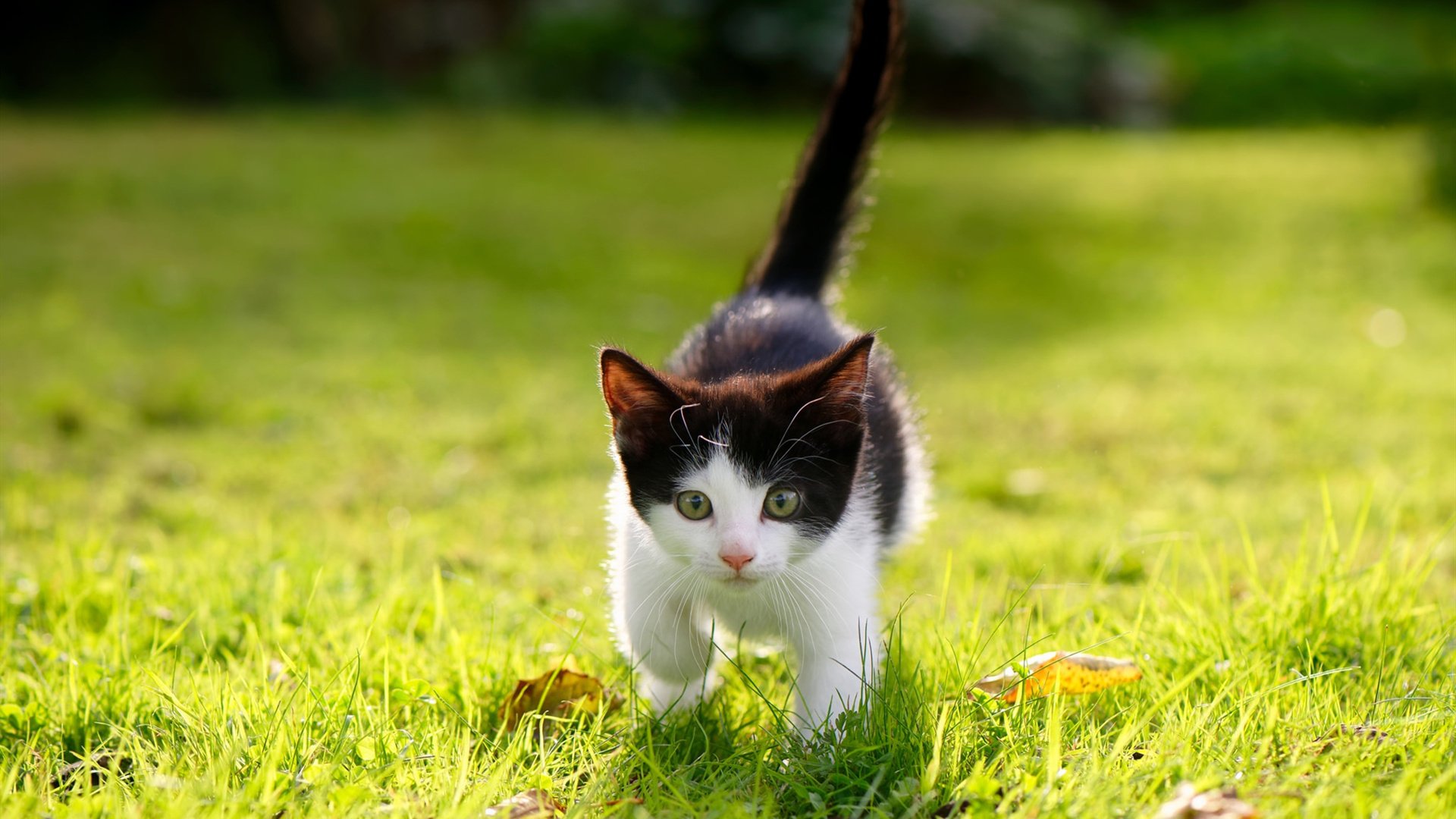 贝恩，心脏停跳那一秒，我把绝杀变成呼吸